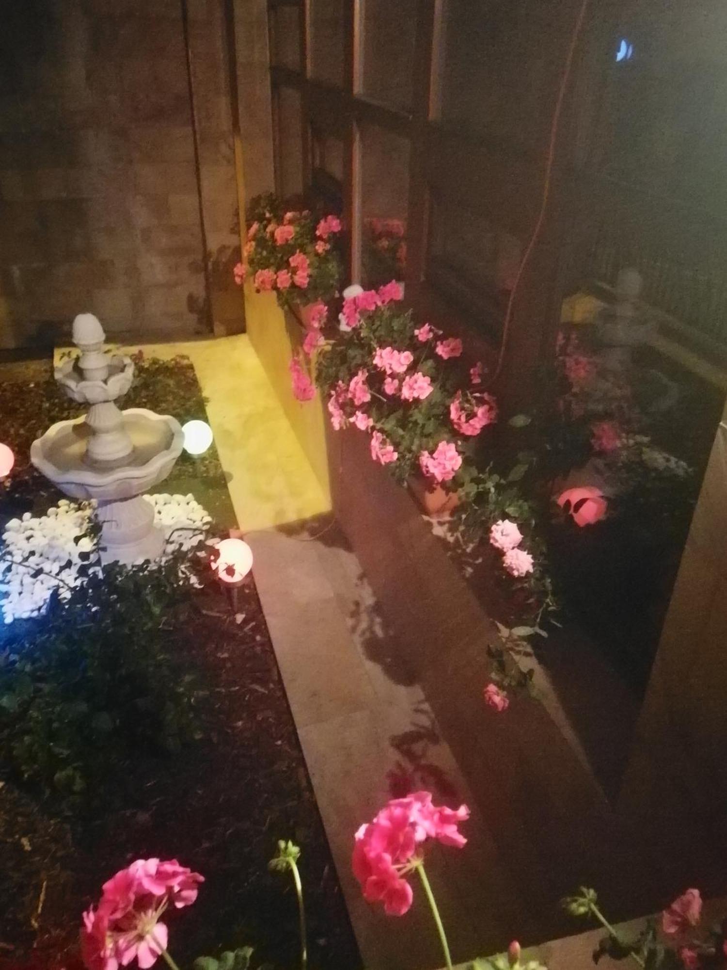 Villa Barrandov Pokoj 3 Prag Exteriör bild